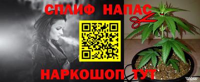 молекула духа Пыть-Ях