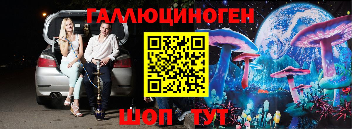 Северобайкальск  Псилоцибиновые грибы ЛСД  Вход с VPN 