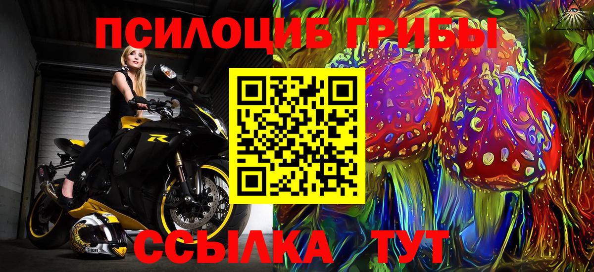 Галлюциногенные грибы прущие грибы Северобайкальск